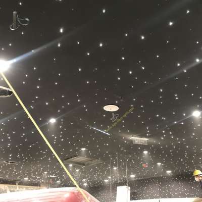 Decorative Sky Star Ceiling Light Kit Led Fiber Optic Star Light for Ceiling Design