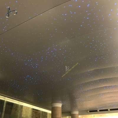 Soft Film Smallpox Starry Sky Ceiling Light Fiber Optic Light